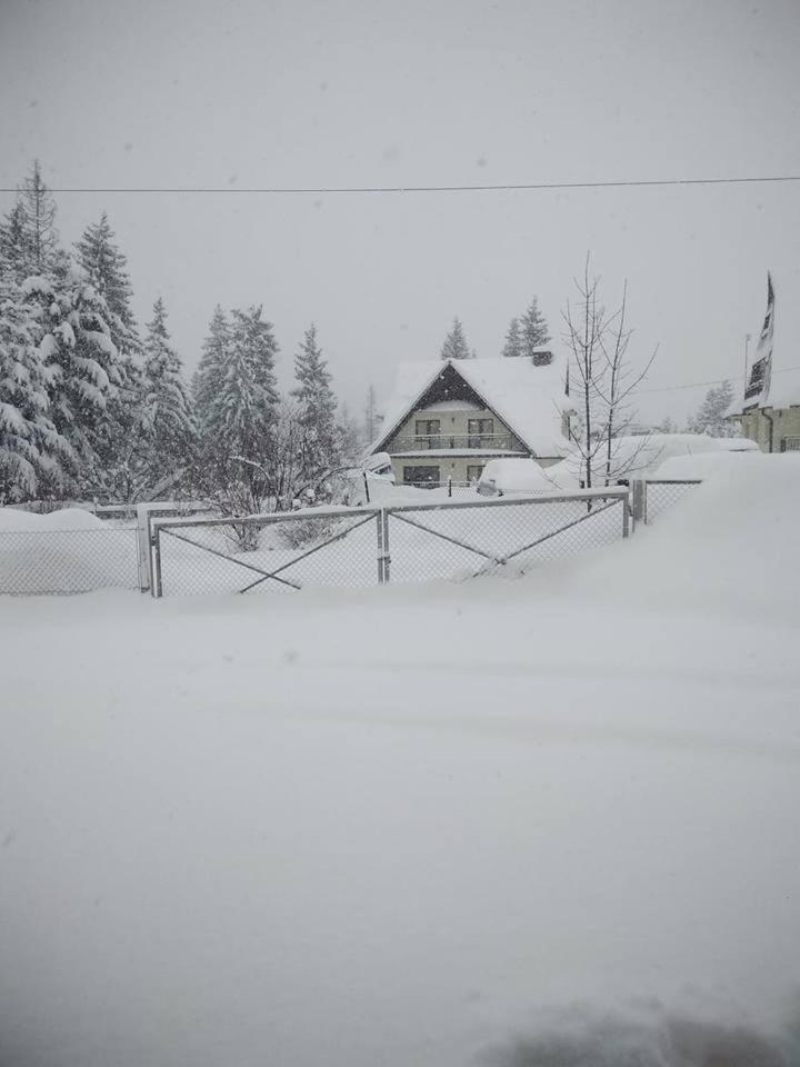 Cicha Dolinka Apartment Zakopane Exterior photo